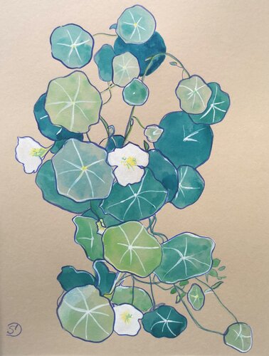 Capucines by Sabine Ducarn, Drawing for Sale on Singulart