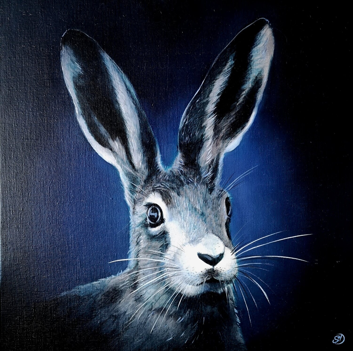 le lièvre Sabine Ducarn