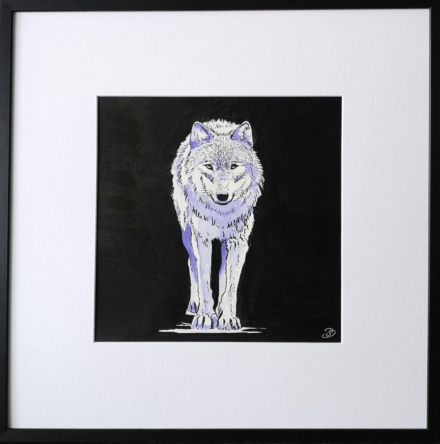 Le Loup Sabine Ducarn