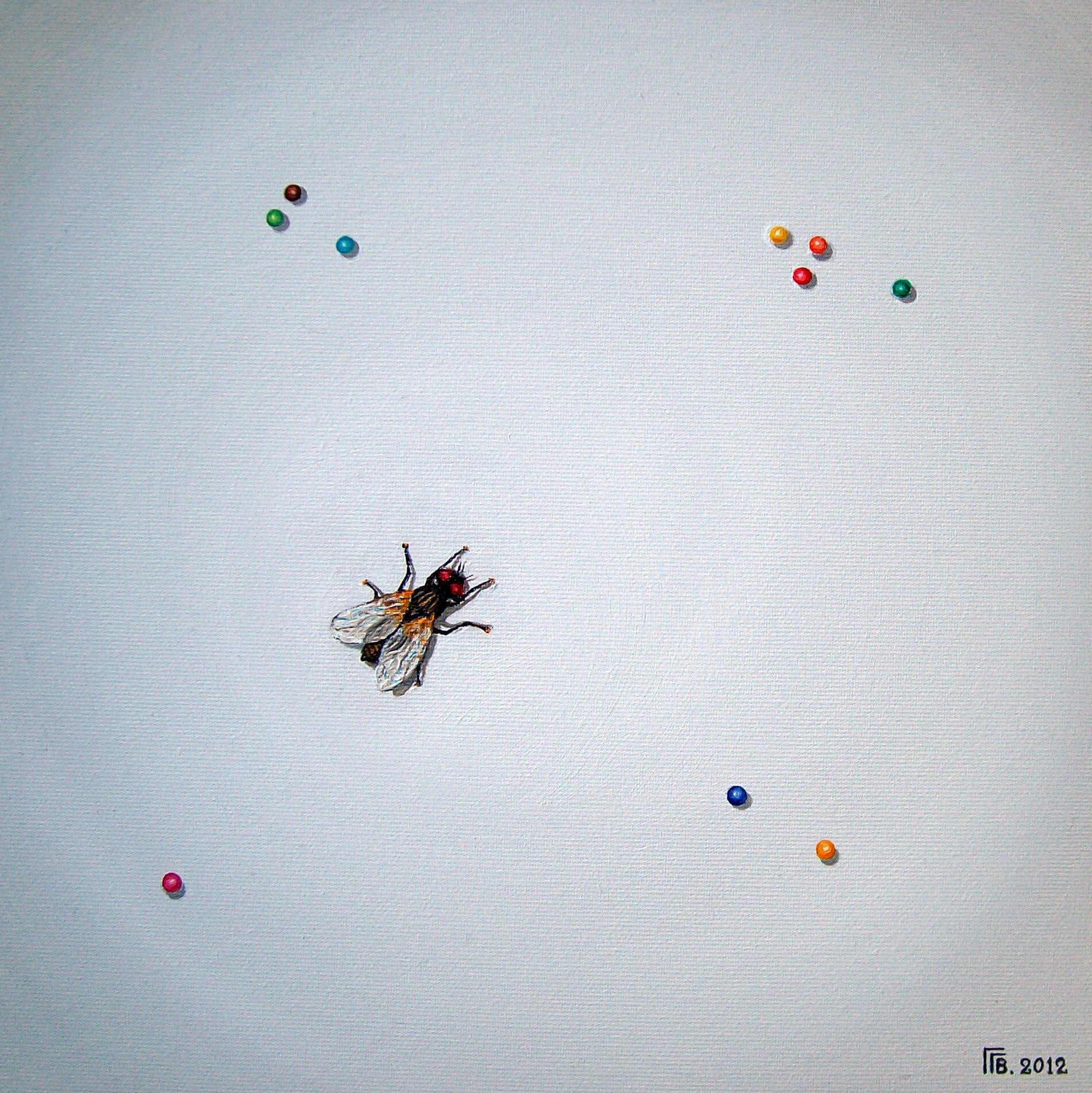 Pinturas antomólogas