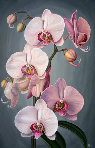 "Orchid" par Grigor Velev, Peinture en vente sur Singulart