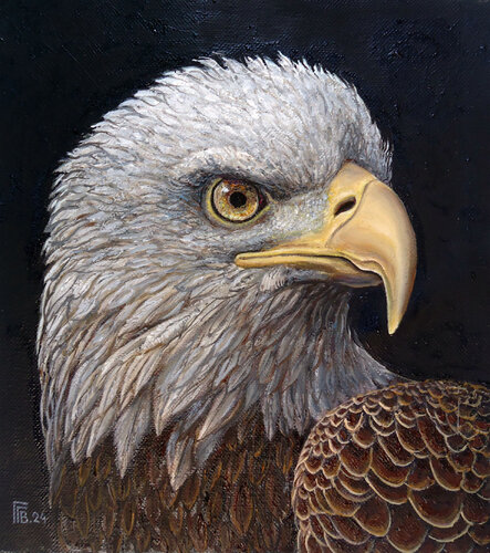 "Aerial Majesty" van Grigor Velev, Schilderij te koop op Singulart