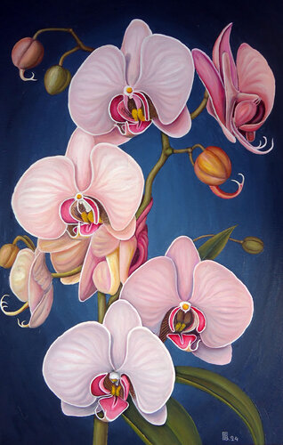 "Orchid Elegance" van Grigor Velev, Schilderij te koop op Singulart