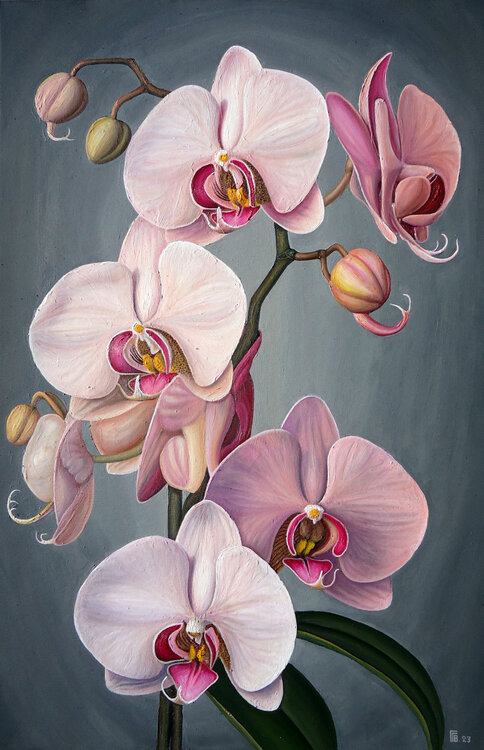 "Orchid" Grigor Velev
