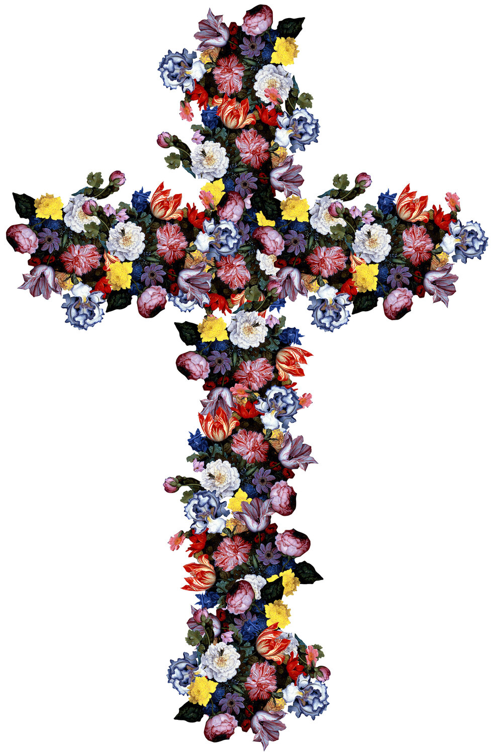 Crux Immissa 1 Agent X