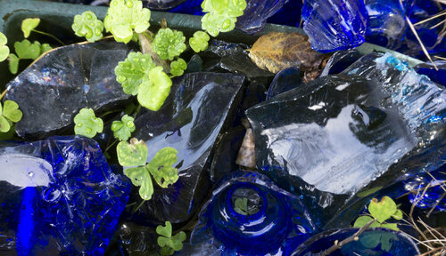 The blue di Andrea Benetti, Fotografia in vendita su Singulart