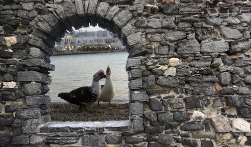 The Venus of Mykonos van Andrea Benetti, Digitaal te koop op Singulart