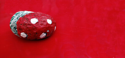 Ladybug Andrea Benetti