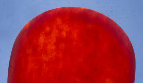 Il Vescovo Andrea Benetti