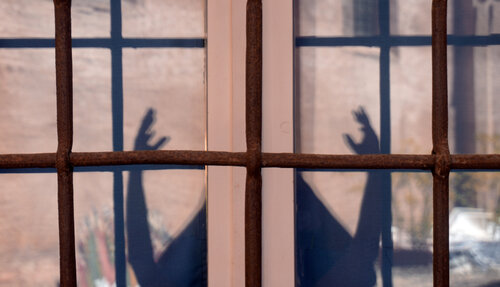 The window Andrea Benetti