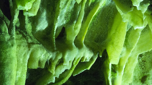 Grotta verde Andrea Benetti