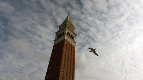 Il gabbiano del campanile di Andrea Benetti, Fotografia in vendita su Singulart