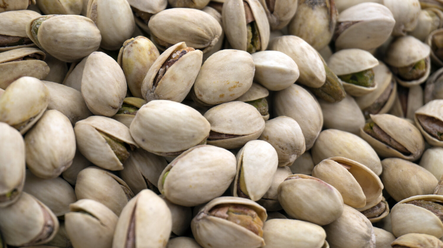 Pistacchi Andrea Benetti