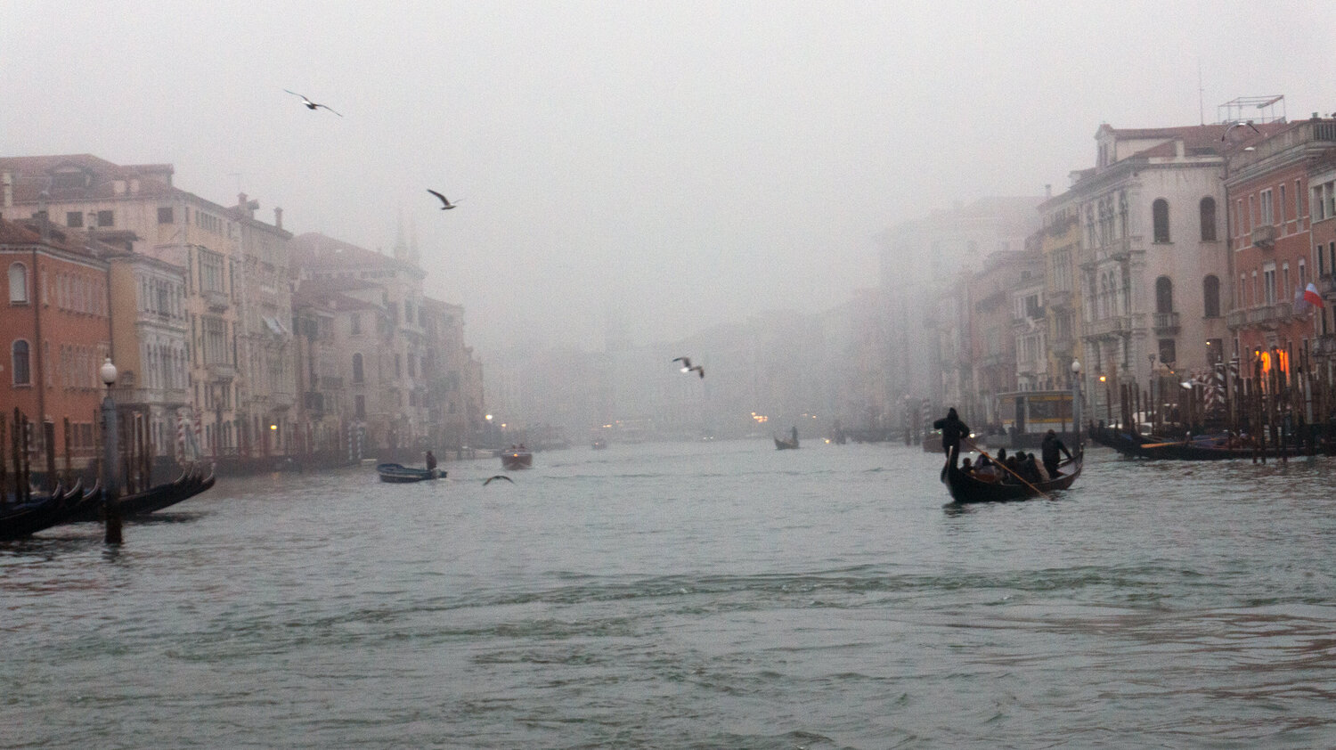 Canal Grande I Andrea Benetti