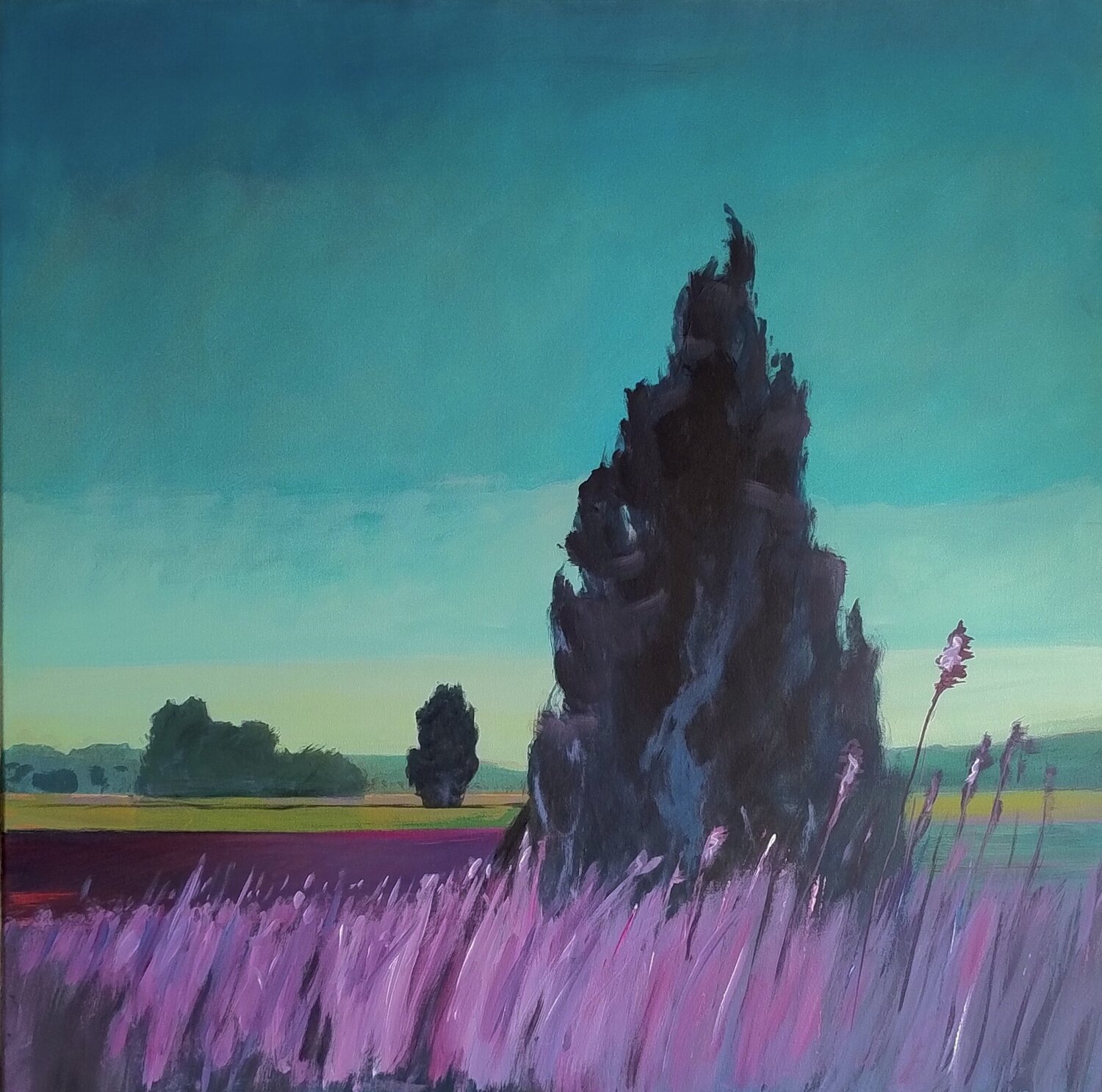 Mecklenburger Melange Landschaft Kai Hoge