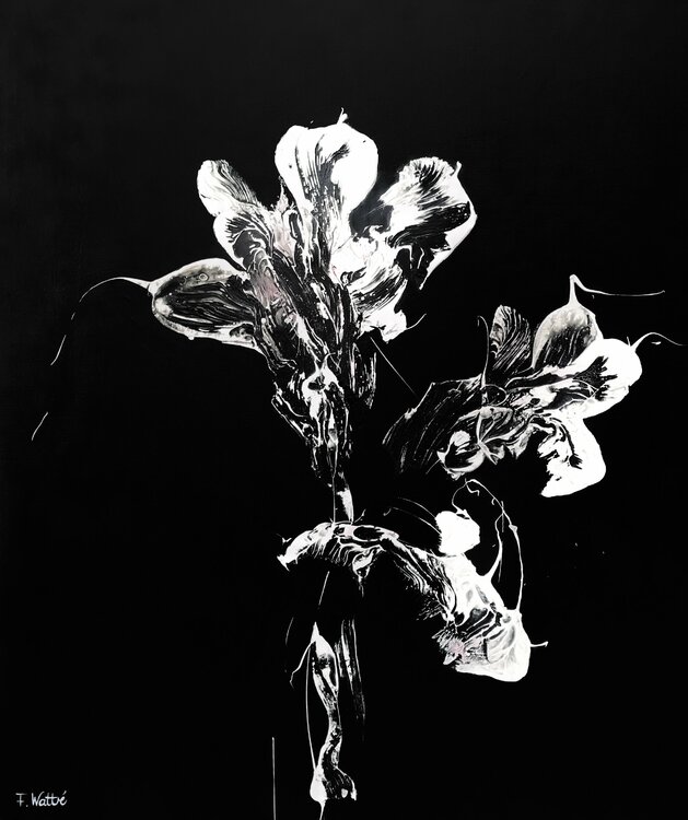 Midnight Disguise Françoise Wattré