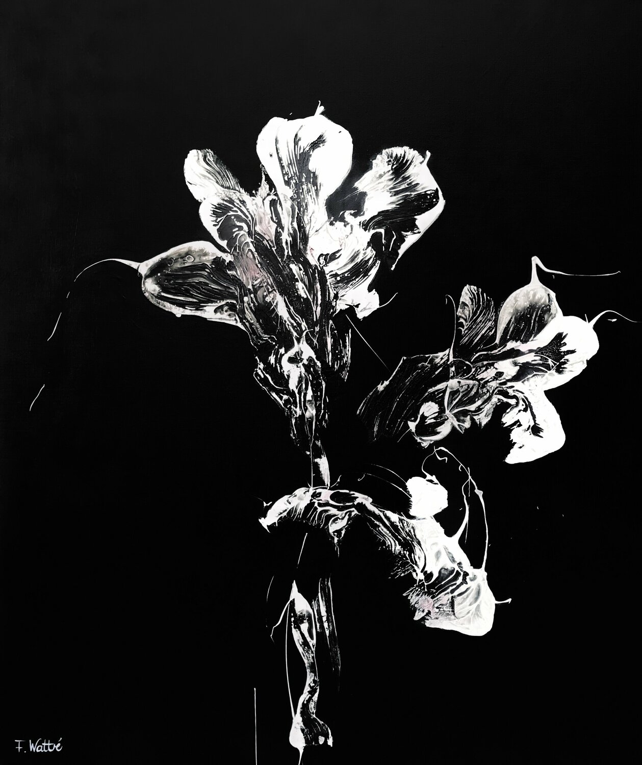 Midnight Disguise Françoise Wattré