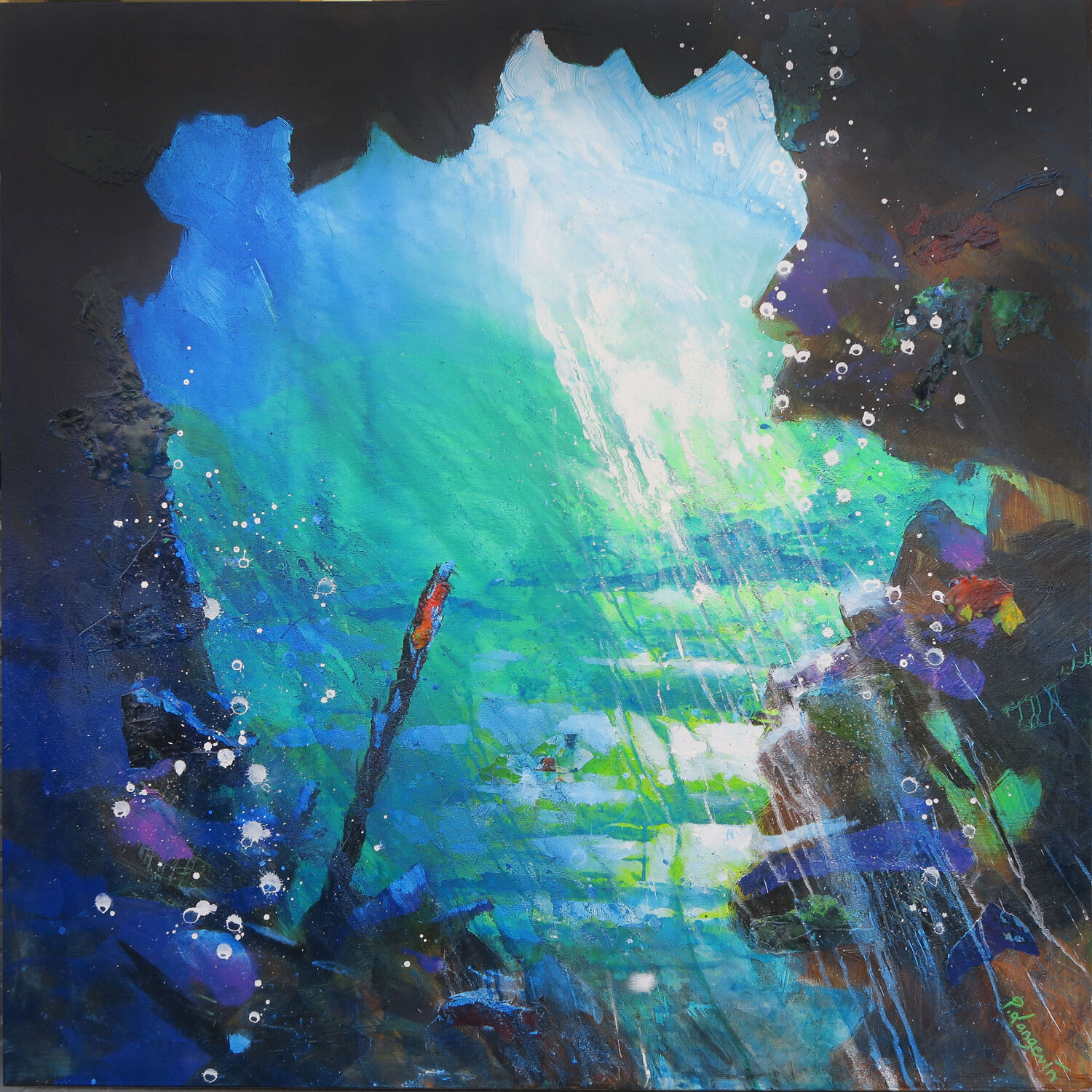 Abysses 30 Pascal Langevin