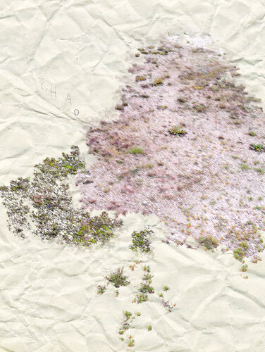 I: ANTHROPOLOGICAL PURITY  (Museum Quality Fine Art print / Archival Pigment Print) par Gianfranco Pezzot, Digital en vente sur Singulart