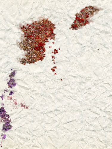 VII: ISTINTO PRIMORDIALE  (Museum Quality Fine Art print / Archival Pigment Print) par Gianfranco Pezzot, Digital en vente sur Singulart