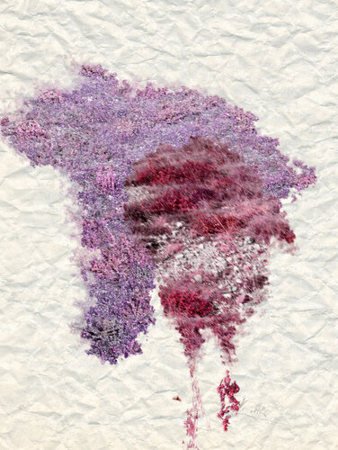 IX: GENESI    (Museum Quality Fine Art print / Archival Pigment Print) by Gianfranco Pezzot, 디지털 for Sale on Singulart