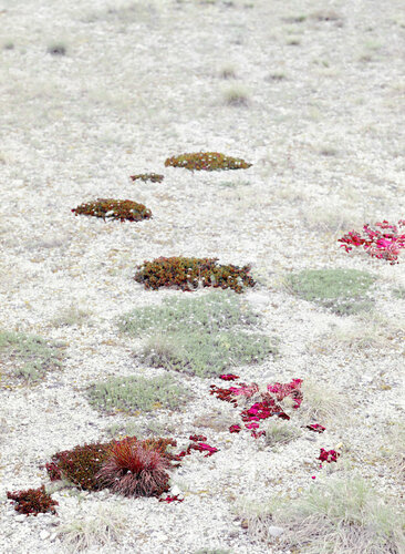 SCORCHING SUMMER AFTERNOON  (Museum Quality Fine Art print / Archival Pigment Print) par Gianfranco Pezzot, Digital en vente sur Singulart