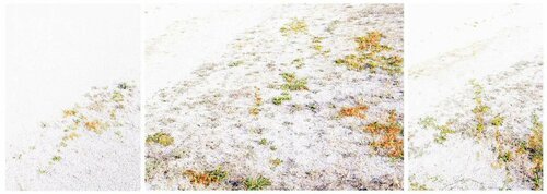 THREE NIGHTS AT S:FRANCESCO DEL DESERTO  (Museum Quality Fine Art print / Archival Pigment Print) par Gianfranco Pezzot, Digital en vente sur Singulart