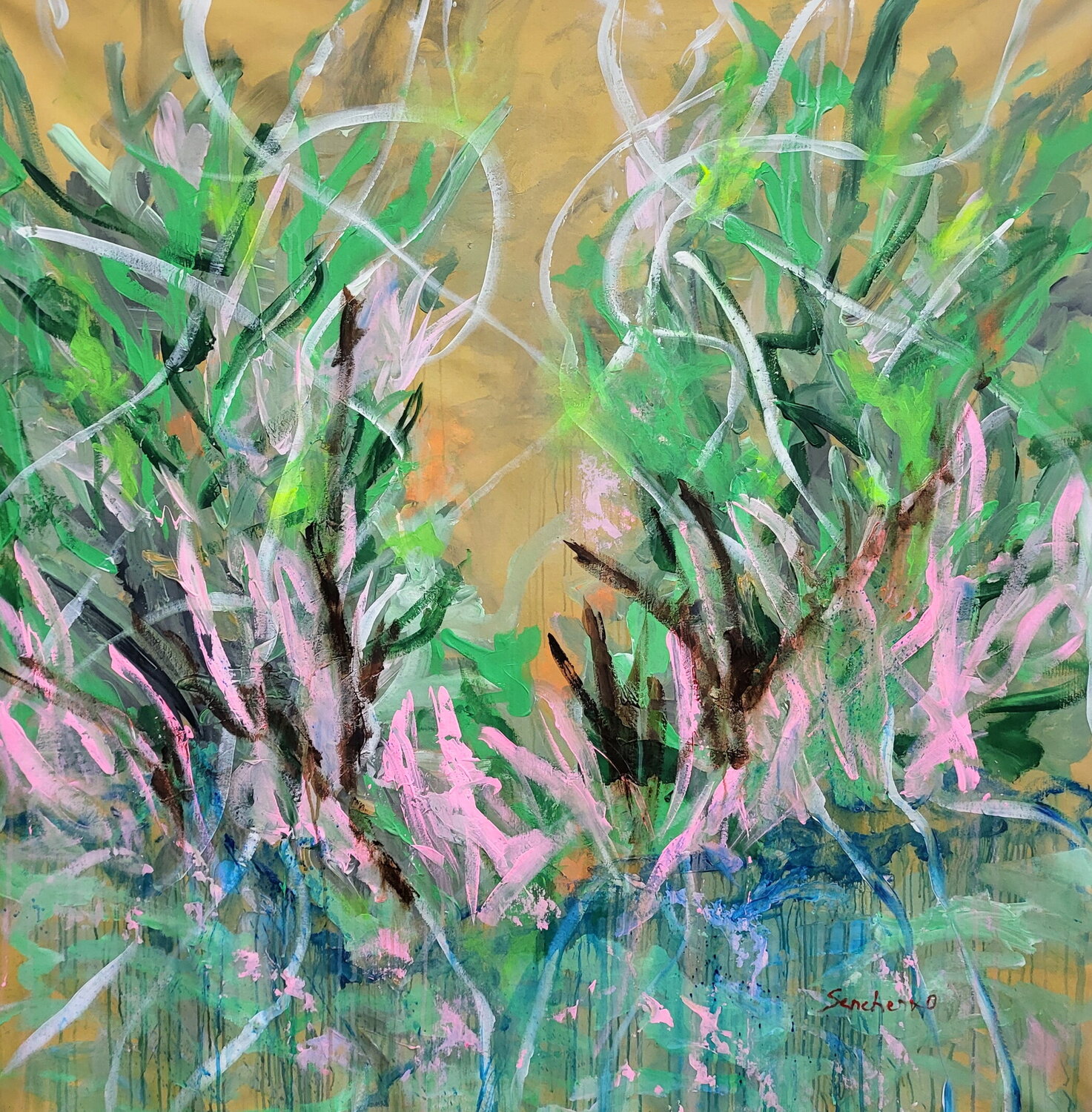Floral Rhythms Alex Senchenko