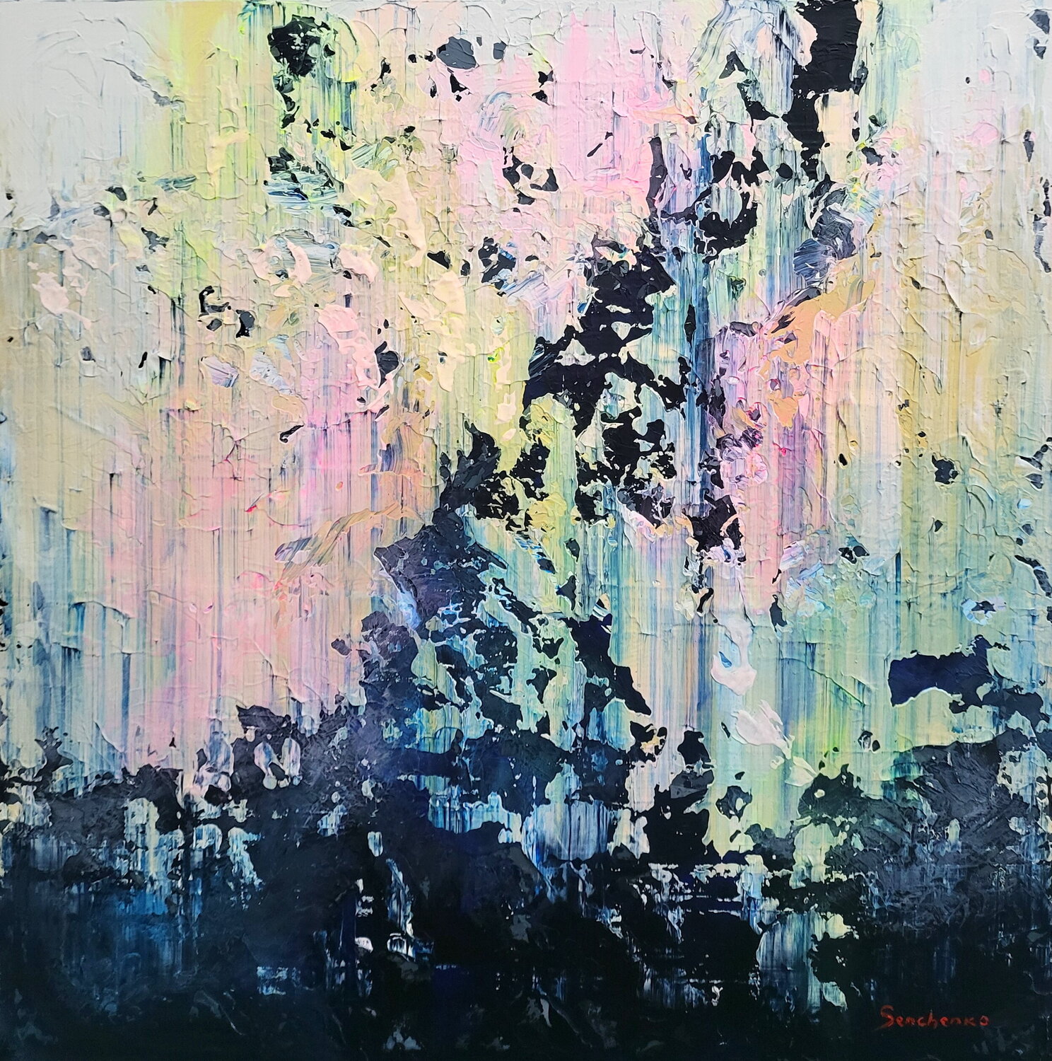 Fragments of Light Alex Senchenko