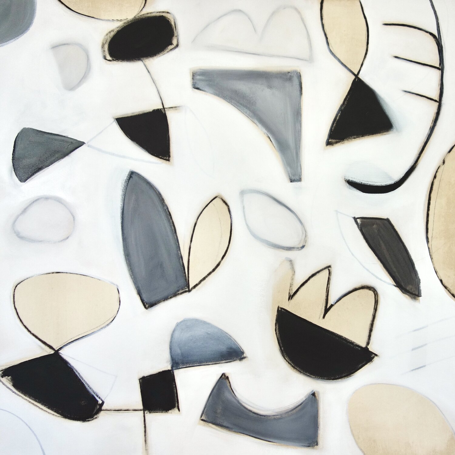Ephemeral Shapes Michelle Louis
