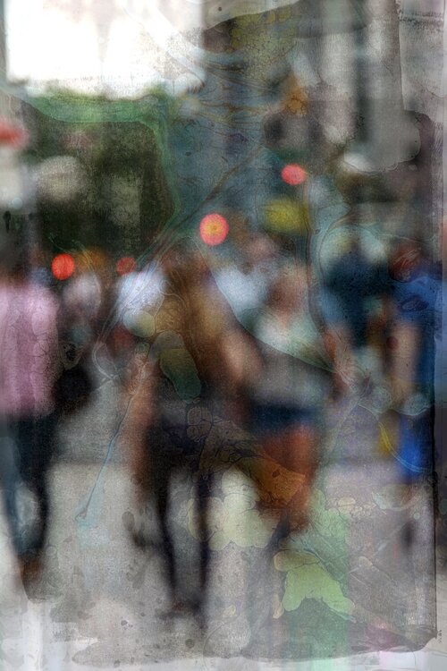 Coming Into Focus Debbie Pacheco