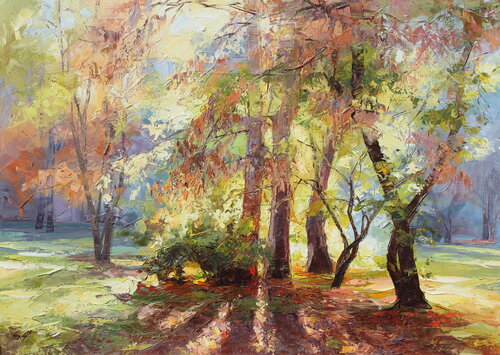 group of trees in backlight Éva Szakács