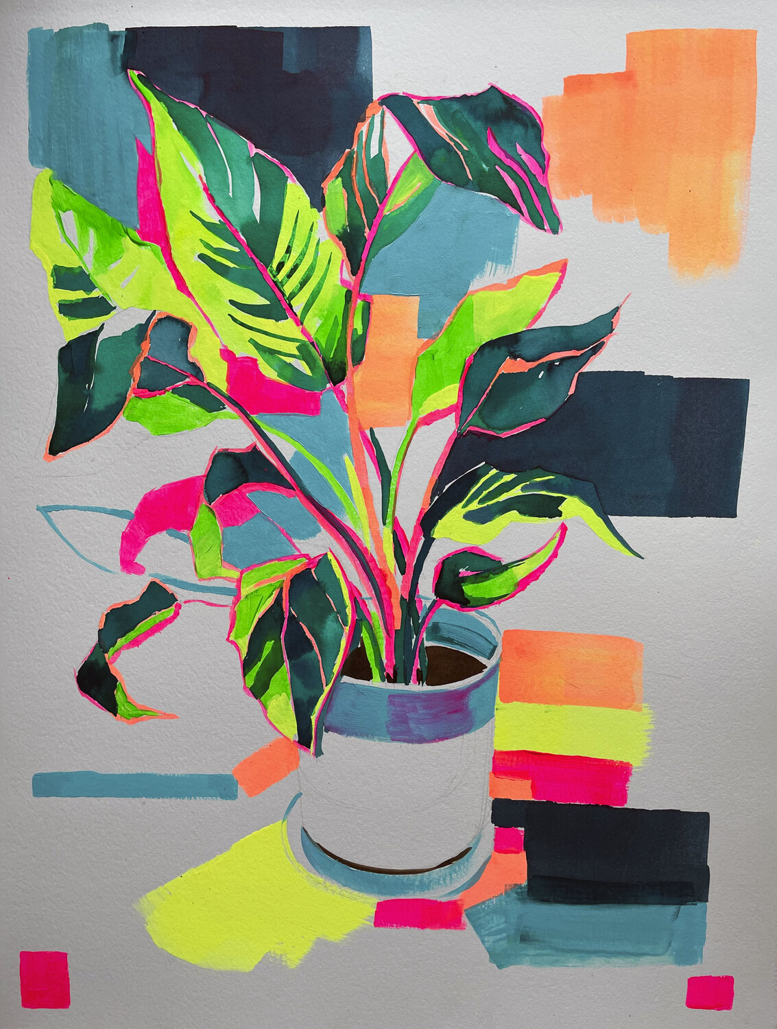 Birds Of Paradise Joanna Pilarczyk