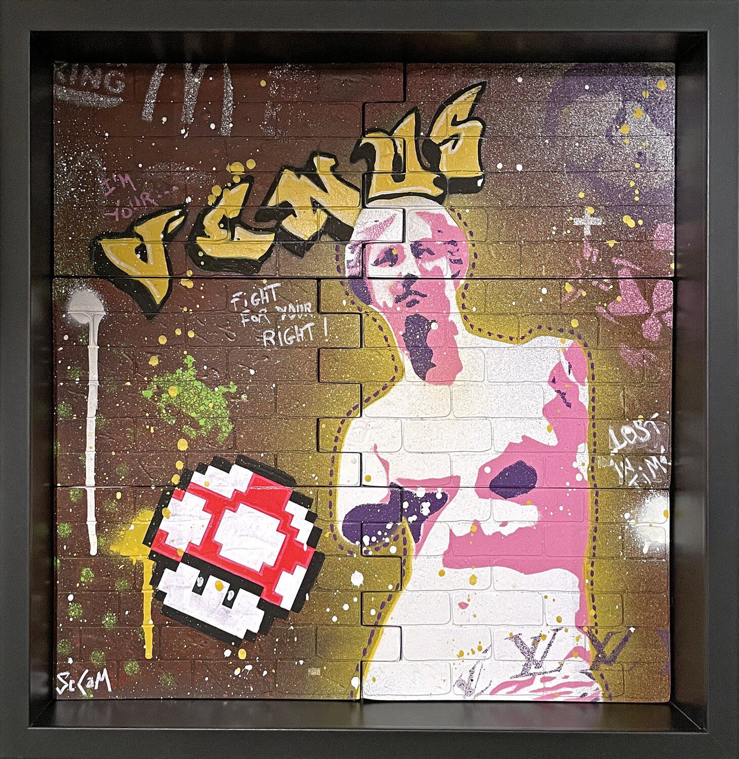 WALL - VENUS SeCam