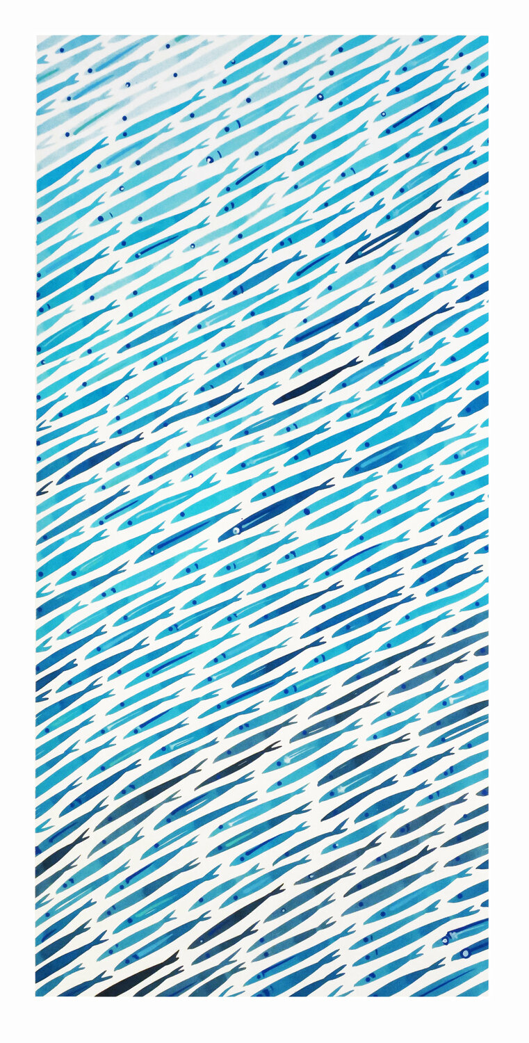 MEDITERRANEO 110 Manuel Di Chiara