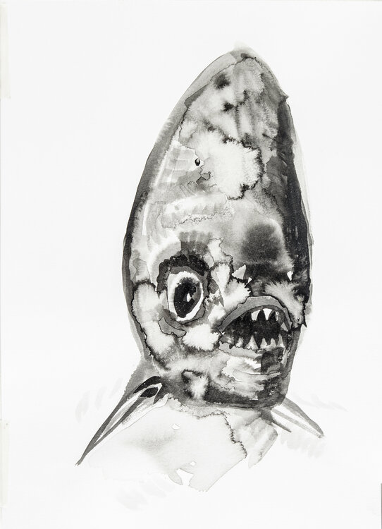 Sans titre, Baptiste Laurent