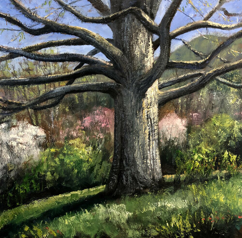 Grand Oak in Spring di David Sheldon, Pittura in vendita su Singulart