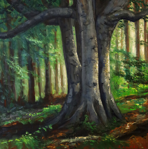 Pisgah Dream di David Sheldon, Pittura in vendita su Singulart