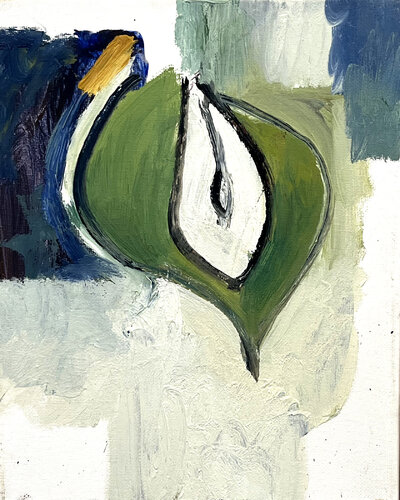 Spectacled Eider di David Sheldon, Pittura in vendita su Singulart