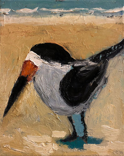 Black Skimmer by David Sheldon, 회화 for Sale on Singulart