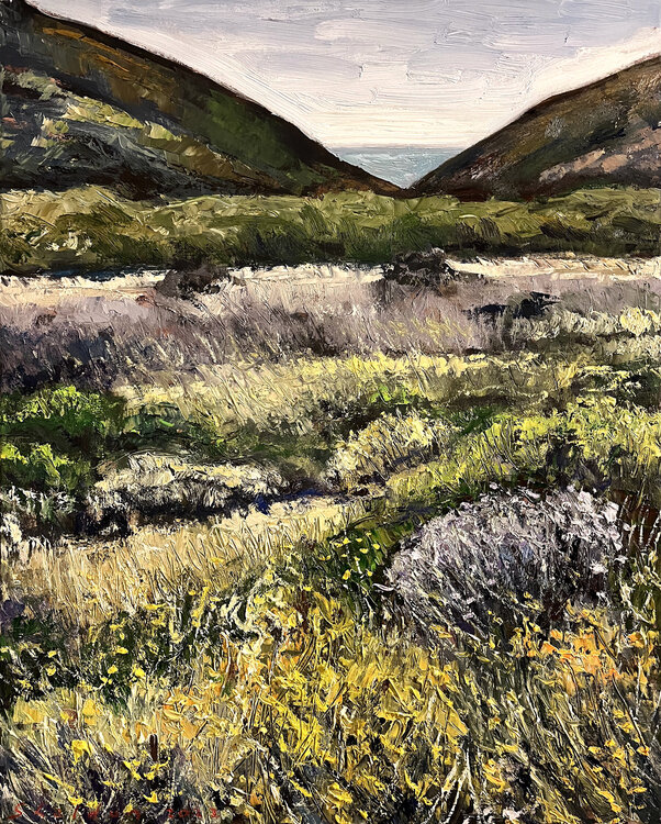 Tennessee Valley, California (Ocean View) David Sheldon