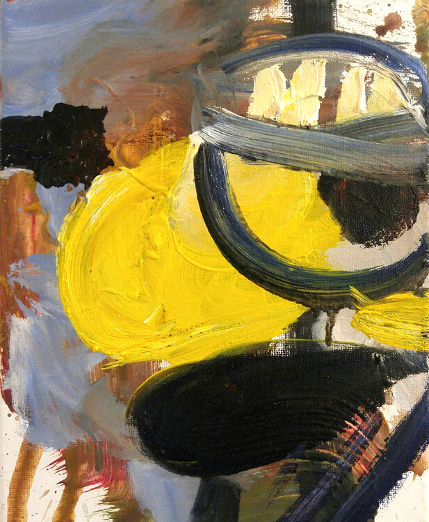 Goldfinch David Sheldon