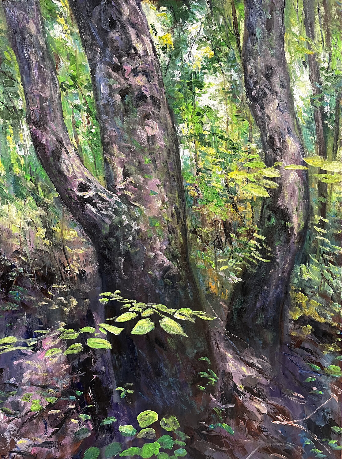 Tranquil Forest David Sheldon