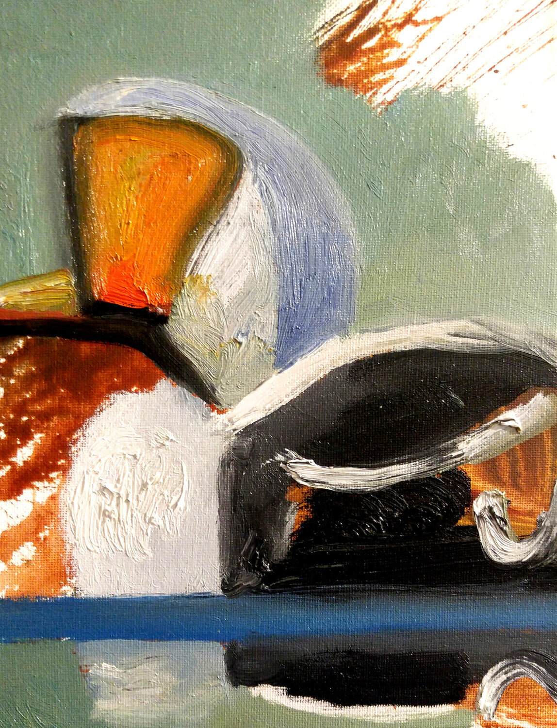 King Eider David Sheldon