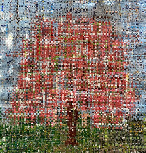 Sakura Spring di Jonathan Homewood, Stampa in vendita su Singulart