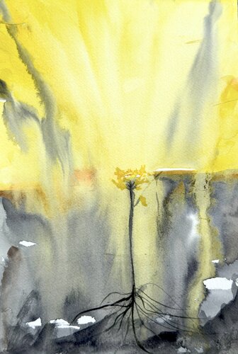 Rooted in Light di Tanya Bilous, Opera su carta in vendita su Singulart