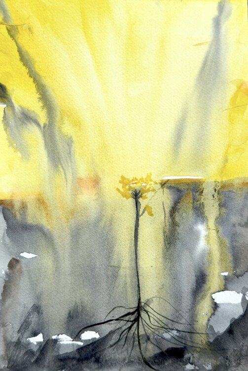 Rooted in Light Tanya Bilous