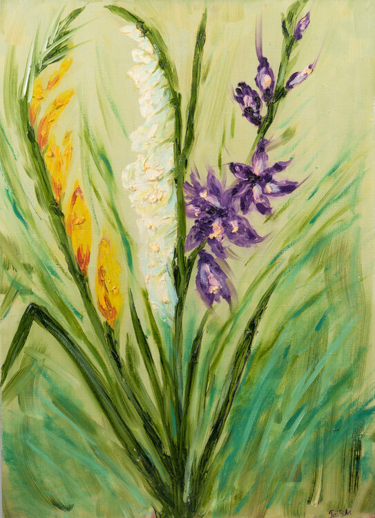 Gladiolus Tanya Bilous