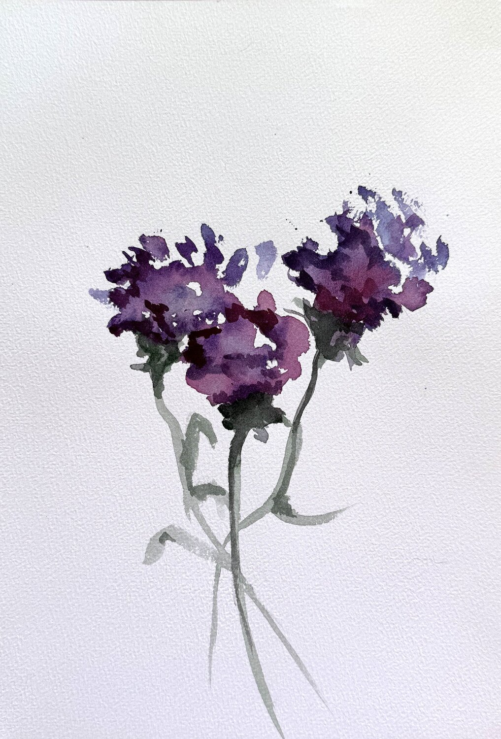 Carnations Tanya Bilous