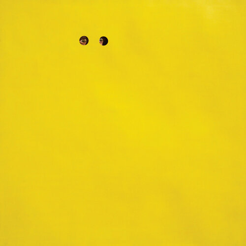 the eye`s picture Dek